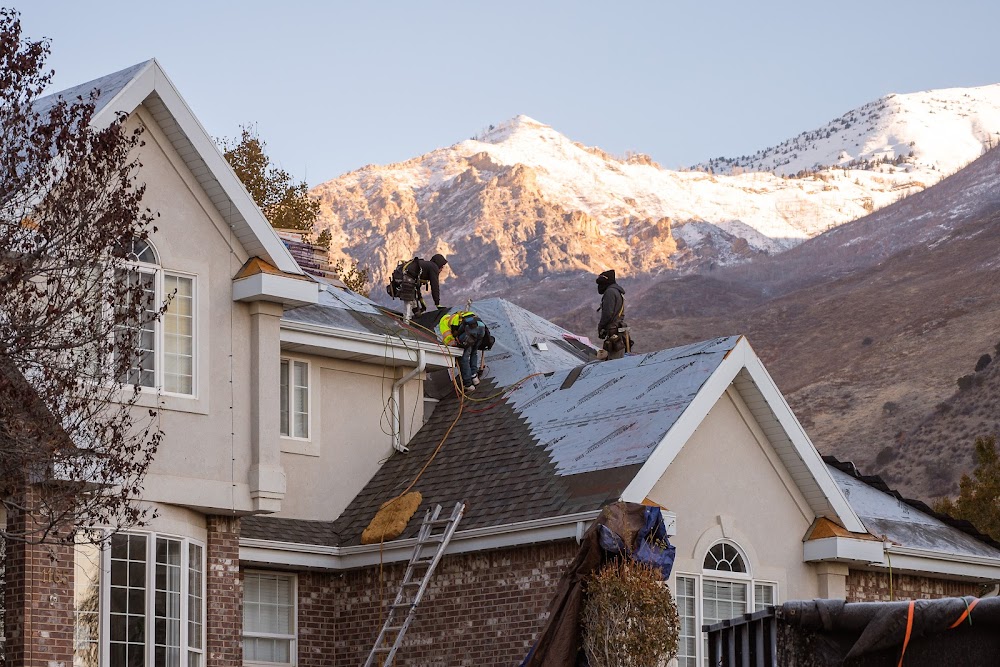 Aesthetic Roofing