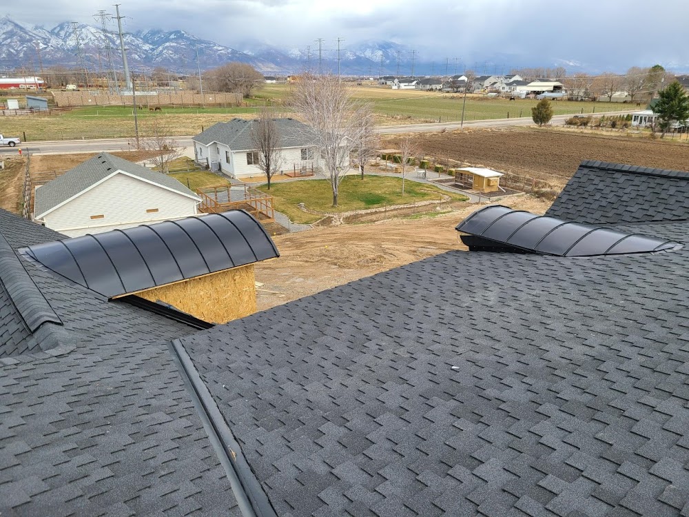 Profile Roofing